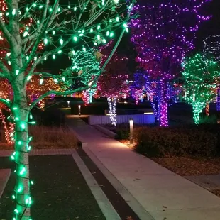 Decorated for Christmas!