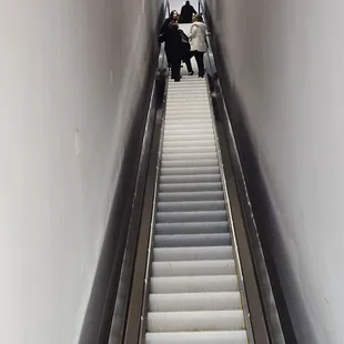 Escalator that seemingly goes up and up and up!
