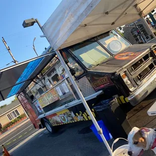 a dog and a food truck
