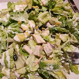 Grilled Chicken Salad