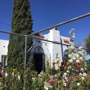 Cool little greenhouse with a wide variety of plants!  Bought some "souvenirs" to see if they will grow back home in Texas!