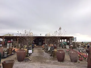 Quality Firewood & Materials