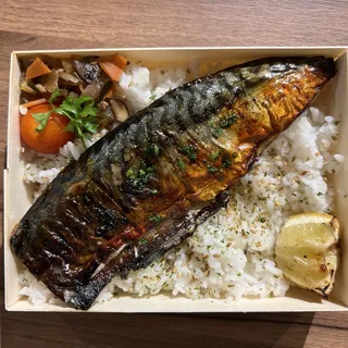 Bento - Shio Koji Marinated Norwegian Mackerel