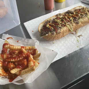 Cheesesteak and fries