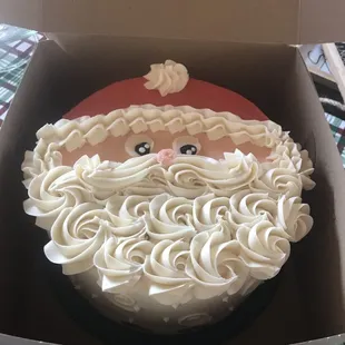 Beautiful Santa cake