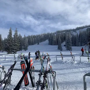 skis lined up in the snow