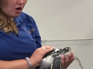 Stepping Stones Academy