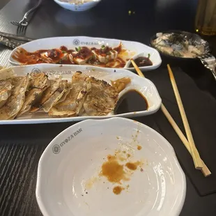 Wagyu and vegetables gyoza