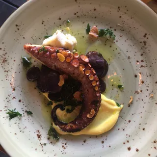 Grilled Spanish Octopus*