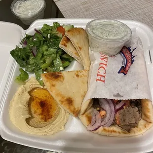 Gyro 101 plate