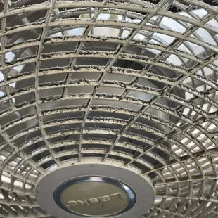 Filth!!! This is blowing all over your food. Multiple fans are running and it's hot as hades!