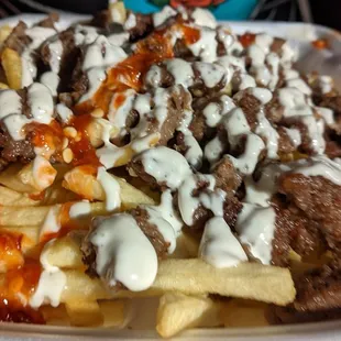 a plate of fries with meat and sauce