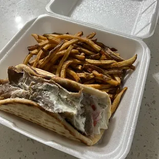 a sandwich and fries in a styrofoam container