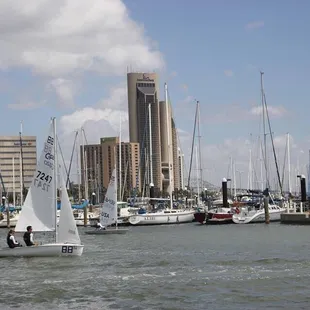 a group of sailboats in a harbor