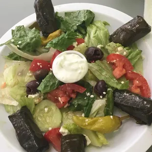 Grape Leaf and Small Greek Salad