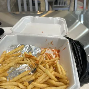 Quesadilla and fries