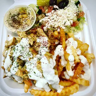 Gyro Guys Special Plate ( your choice of protein Served on Greek Fries, Greek Salad, Hummus, Pita bread and Drink).