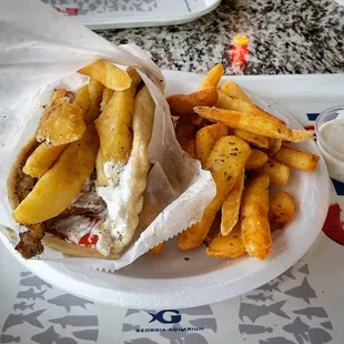 Athenian Wrap with Souvlaki and Greek fries