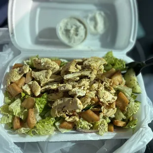 Fattoush salad(half) with chicken shawarma