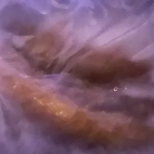 Baklava maaaybe? Dry. Sugary.  I make my own, this was old as f.  Wtf guys?  M*lakas