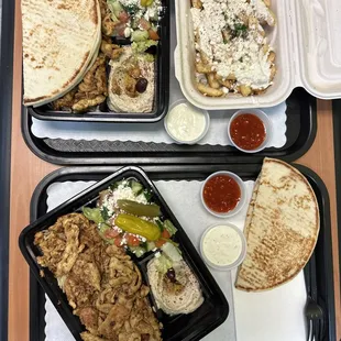 Chicken Gyro plate and Greek Fries