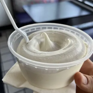 Vanilla custard in a dish