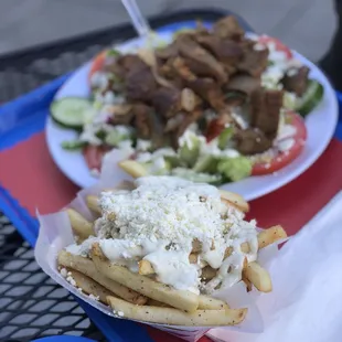 Gyro Salad and Greek Fries. So good!