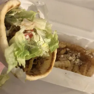 Gyrolicious Special Wrap and Greek Fries