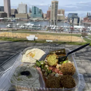 Vegetarian Sampler