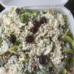 Large Greek Village Salad with too much dressing. I suggest getting it on the side.