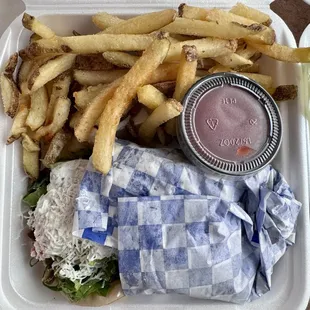 Carved Gyro Sandwich with fries