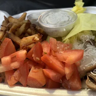 Gyros sandwich and fries with tomatoes and tzatziki on the side. Very good