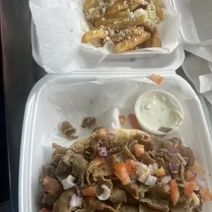 Mega Gyro and Greek Fries