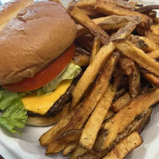 Cheese Burger and Fries