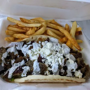 Gyro supreme and seasoned fries.