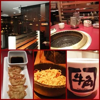 Pork Gyoza Dumplings