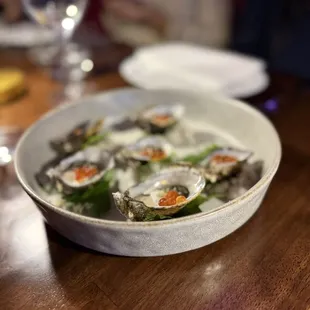 Oysters