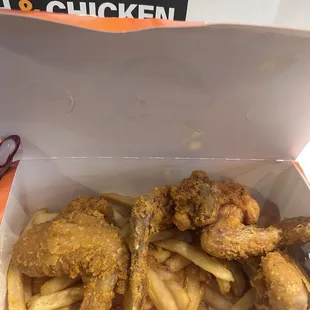 4 Wings &amp; Fries Combo