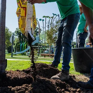a group of people planting a tree