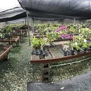 Panorama of one nursery