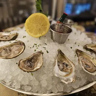 East Coast oysters