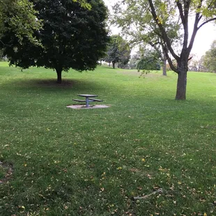 Large grassy areas