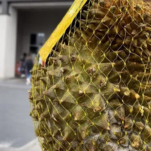 Durian