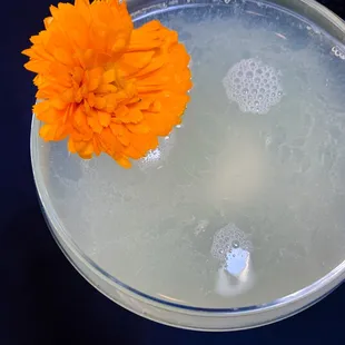 sashimi, sushi, sushi and sashimi, food