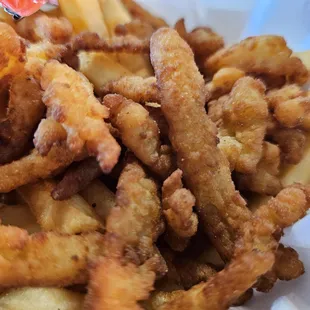 Close up of the fried clams