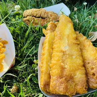 fish