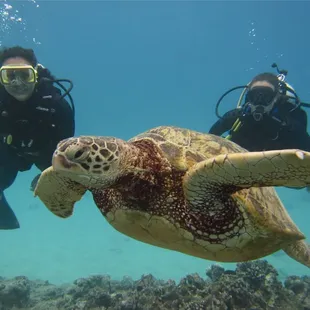 Whether a beginner or certified diver, we offer several dives all over the island with small groups