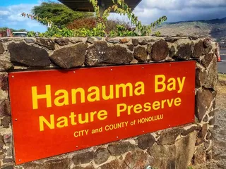 Hanauma Bay Snorkel Fun