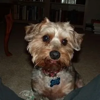 Andy S.