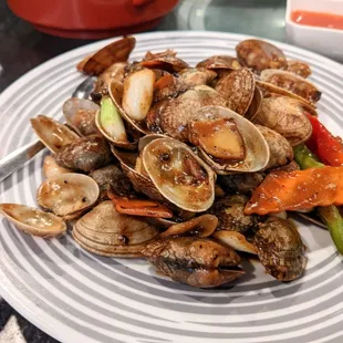 shellfish, mussels, oysters and mussels, food, oysters